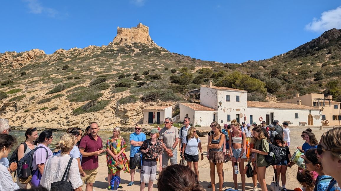 See the historical castle up top the hill