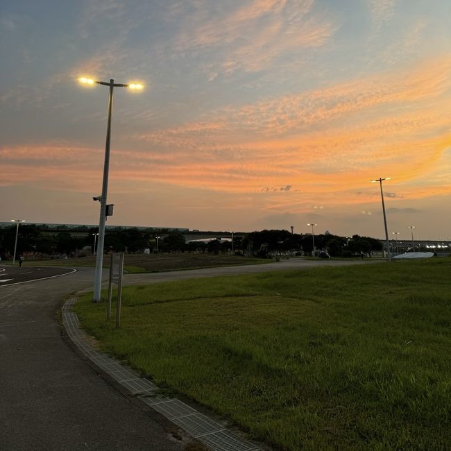 s-9027605.jpg