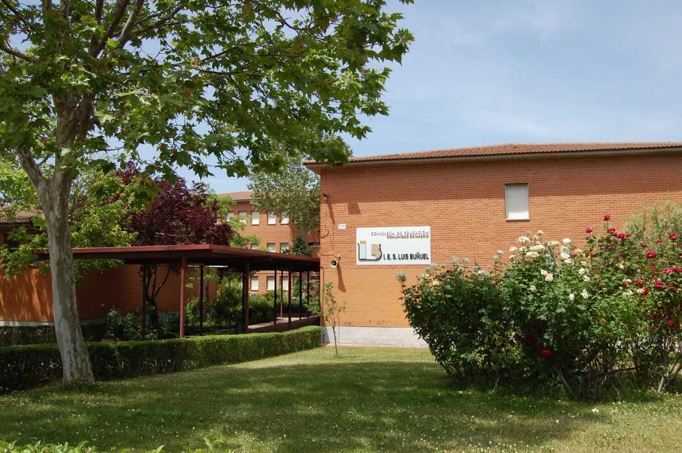 my school