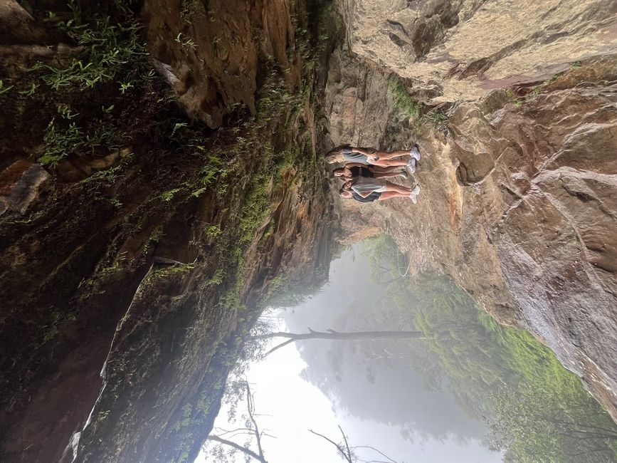 abroad sydney australia hike
