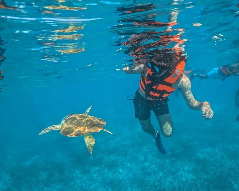 yucatan study abroad CIEE mexico