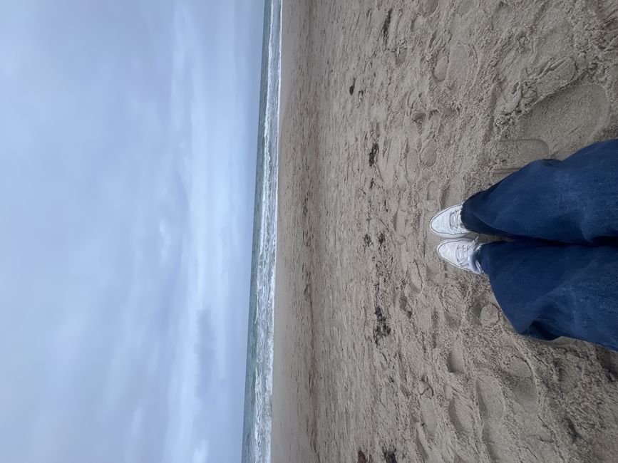 berlin study abroad CIEE beach