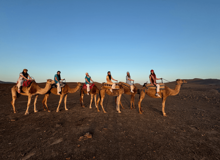 prague study abroad CIEE camel