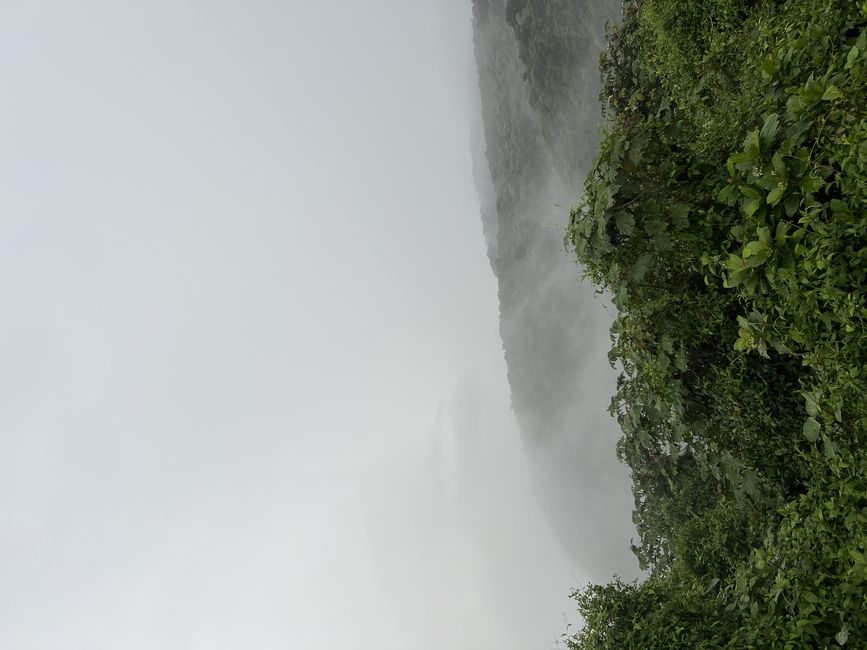 monteverde study abroad hike forest CIEE
