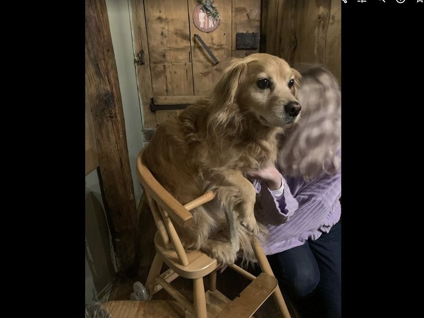 Benny 