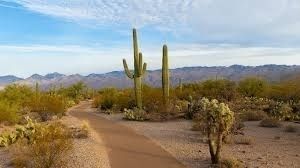 A photo of Arizona's natural landscape 