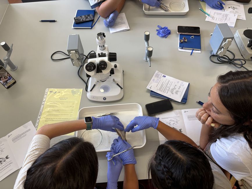 High school students hands-on science classroom learning
