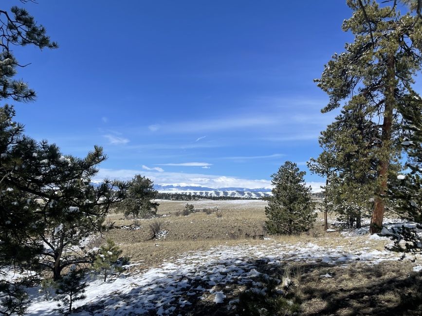 snowy Colorado Rocky Mountains through the trees