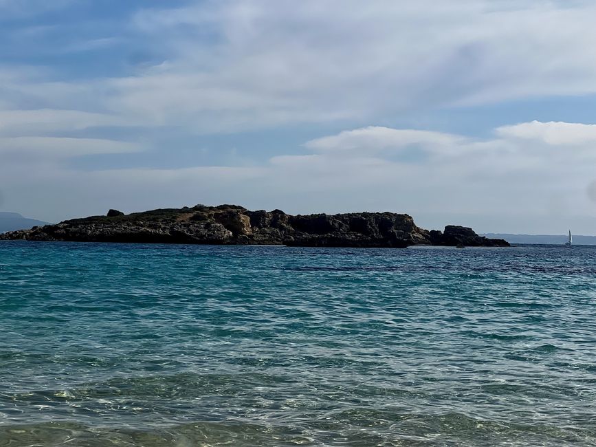 Med Waters