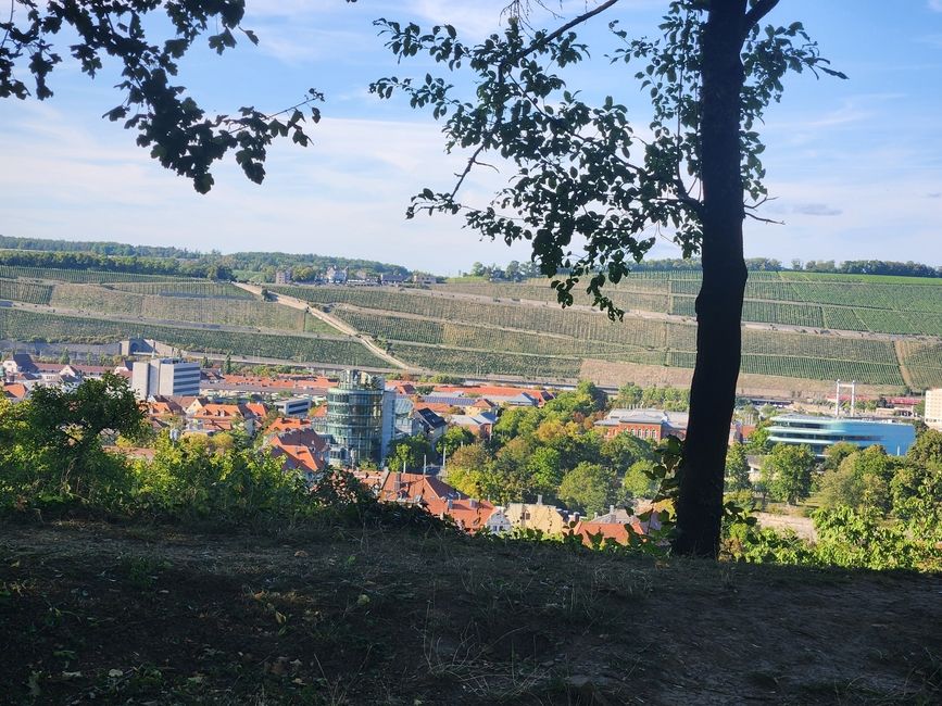 Wurzburg! 