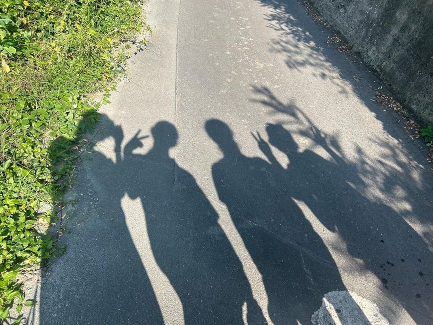 the shadows of some people on a sidewalk