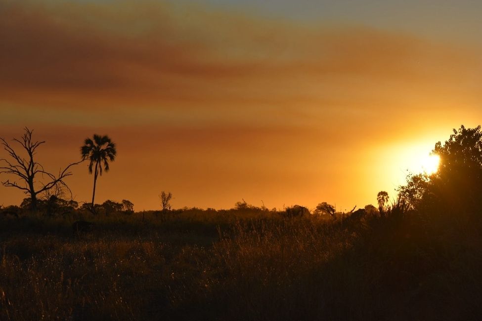 Sundown in the Okavango Delta