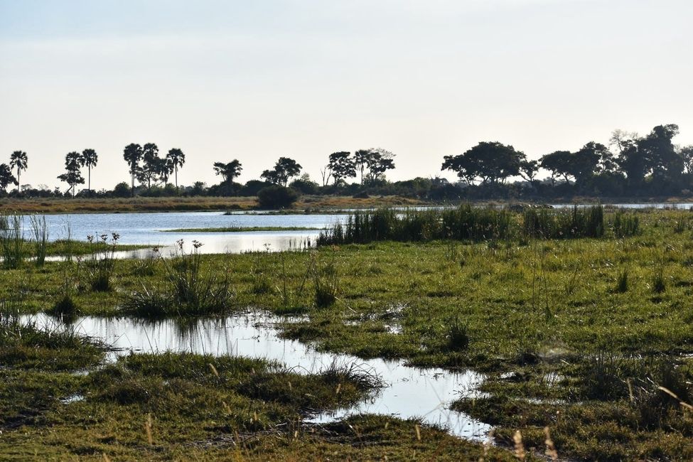 Okavango Delta