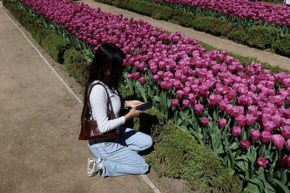 Girl in a Garden
