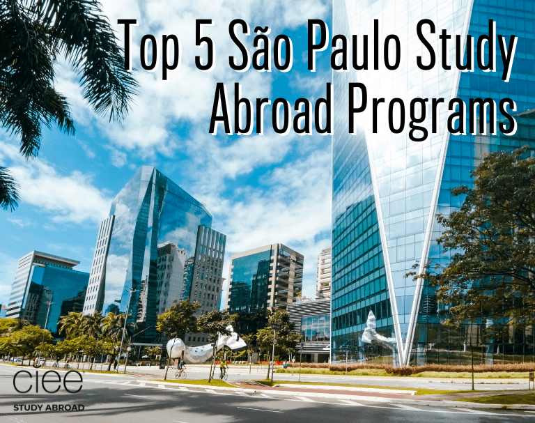 Top 5 São Paulo Study Abroad Programs