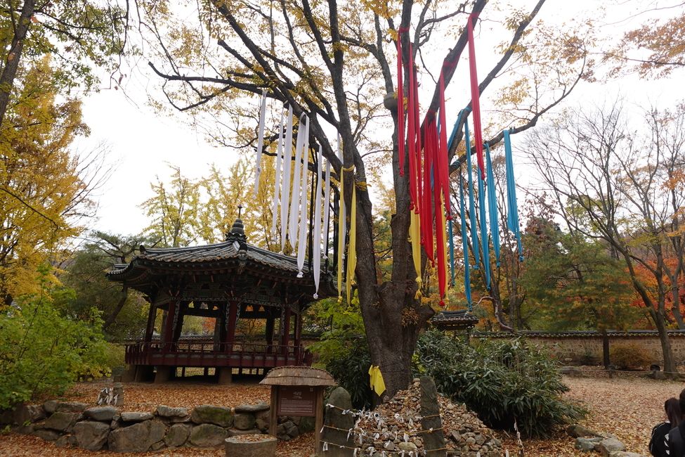 Cultural village tree