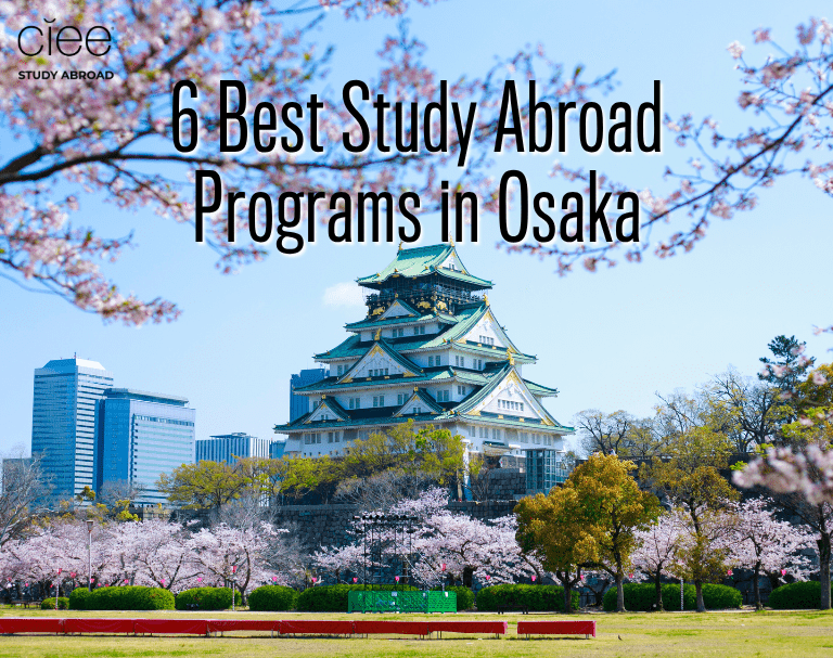 6 Best Study Abroad Programs in Osaka