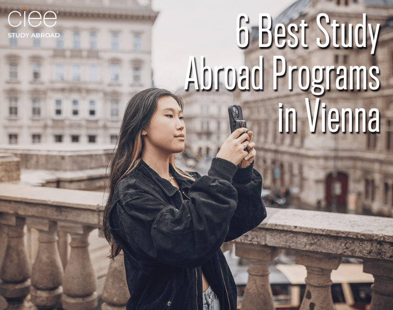 6 Best Study Abroad Programs in Vienna