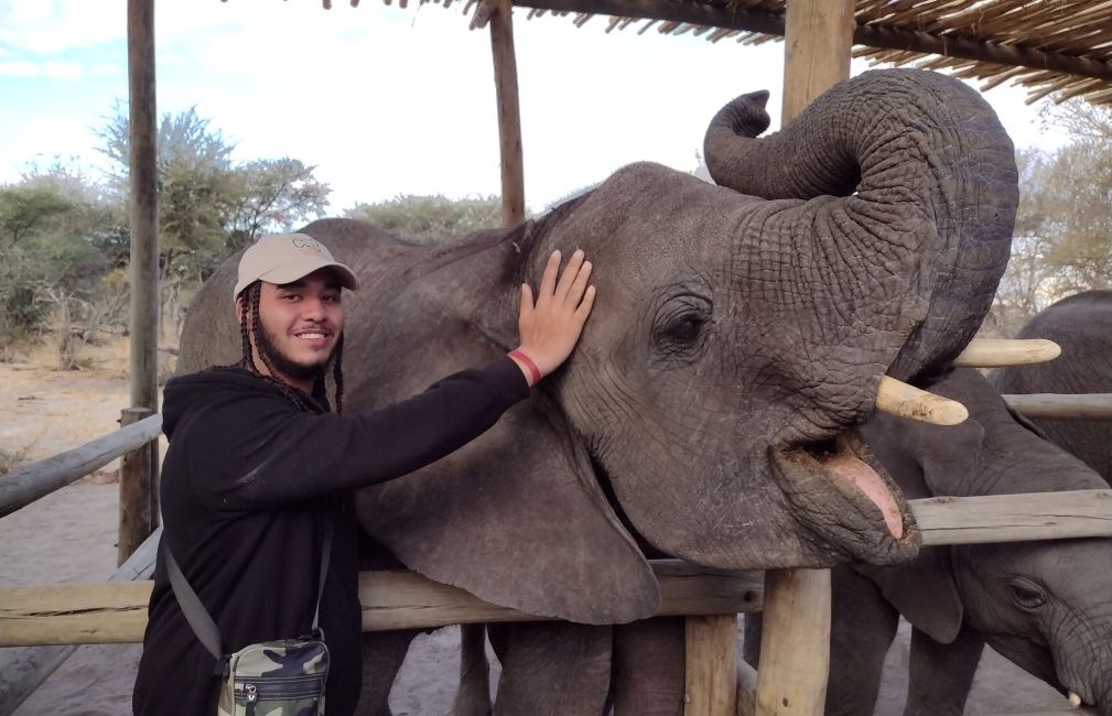 elephant pet study abroad student