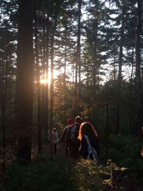 Kids hiking through the woods at sunset
