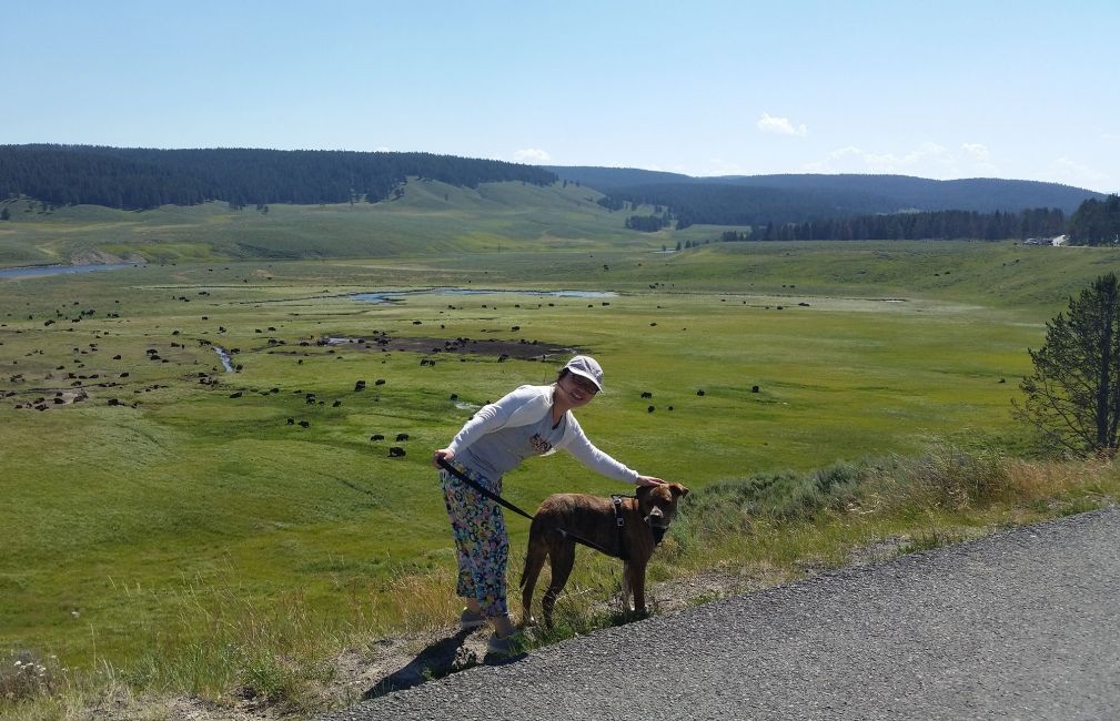 usa summer intern in canyon with dog