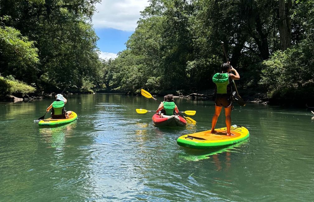 students paddleboaring in river