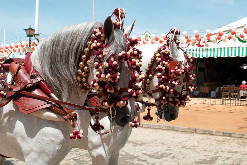 Costumed horses in Murcia, Spain