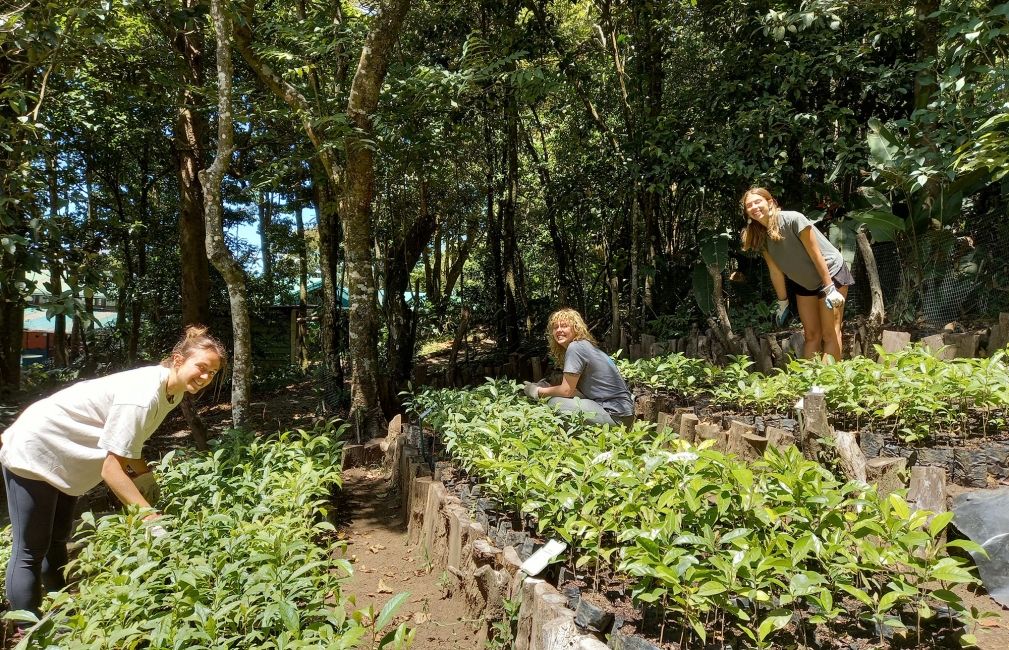 student farmers monteverde costa rica study abroad