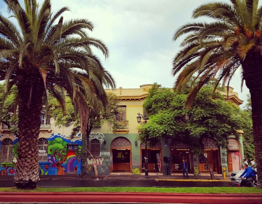 Street lined with palm trees in Santiago, Chile