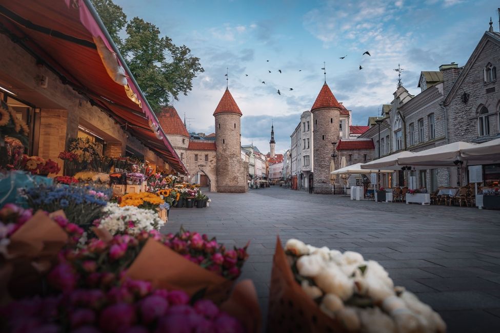 Tallinn castle flowers
