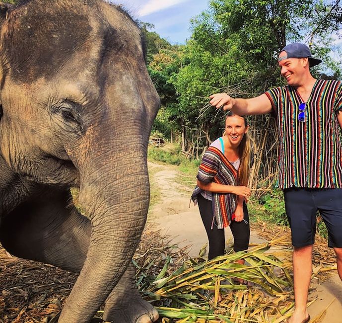 Teach in Thailand participants playing with an elephant