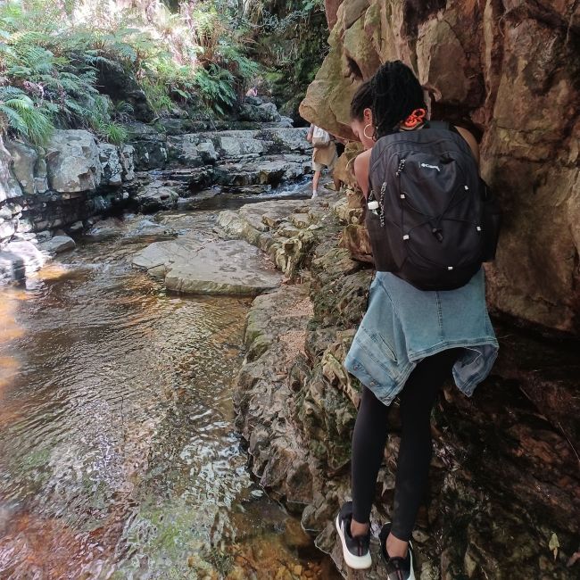 cape town nature stream walk