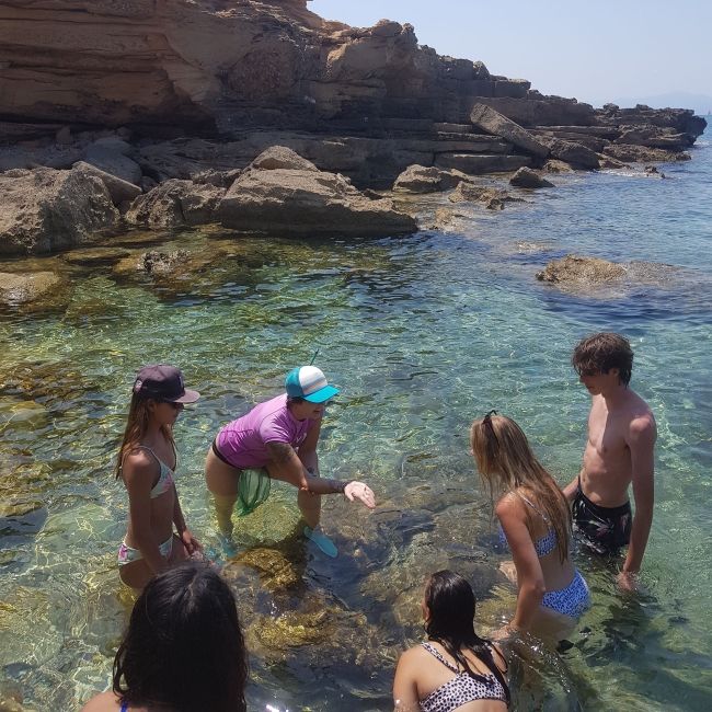 palma spain students explore marine ecosystems
