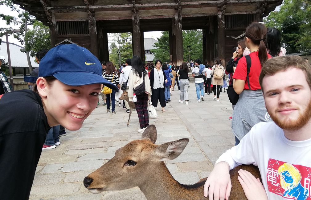 deer park kyoto japan students