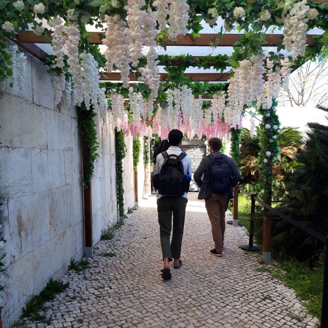 flower path lisbon students abroad