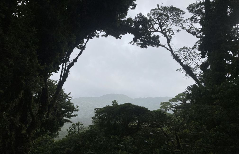 cloud forest costa rica