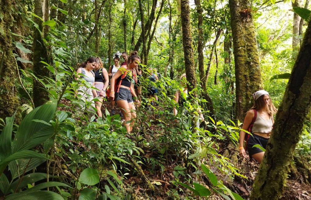 monteverde rainforest girls hike