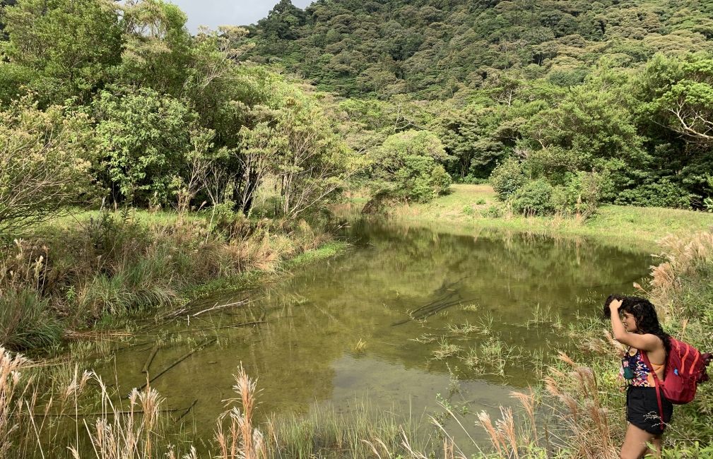 swamp monteverde costa rica student exploring