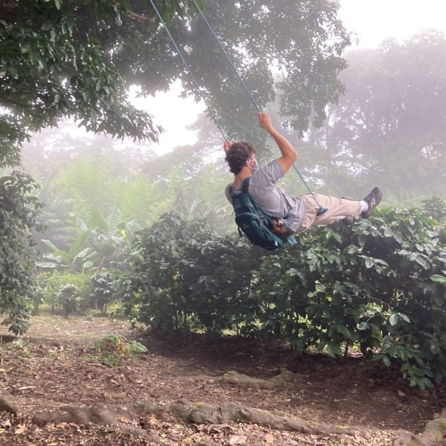 monteverde rainforest swing student