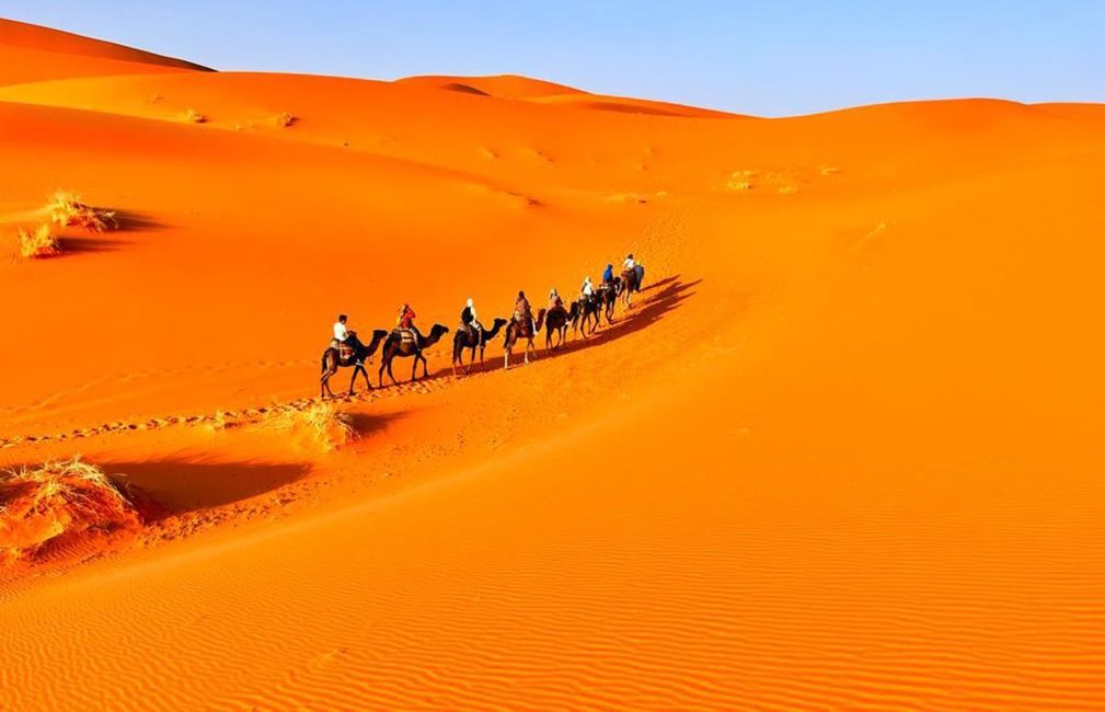 camel ride rabat desert study abroad trip