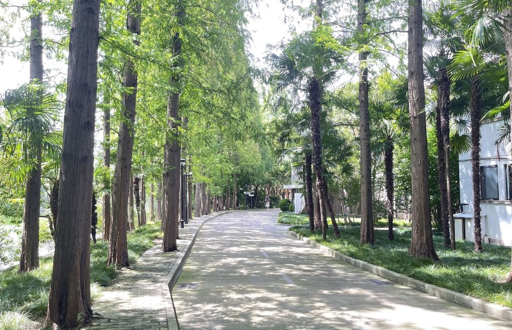 shanghai ecnu campus walkway