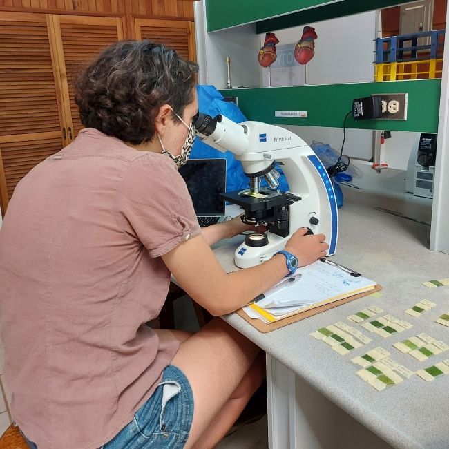 monteverde student looking through science