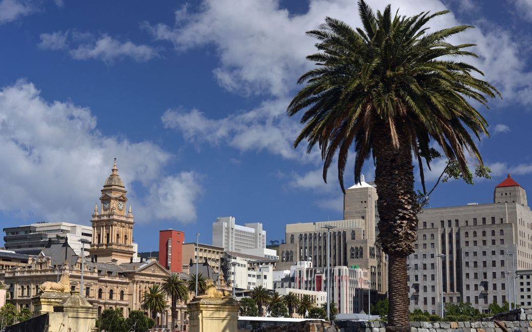 cape town palm tree and city skyline