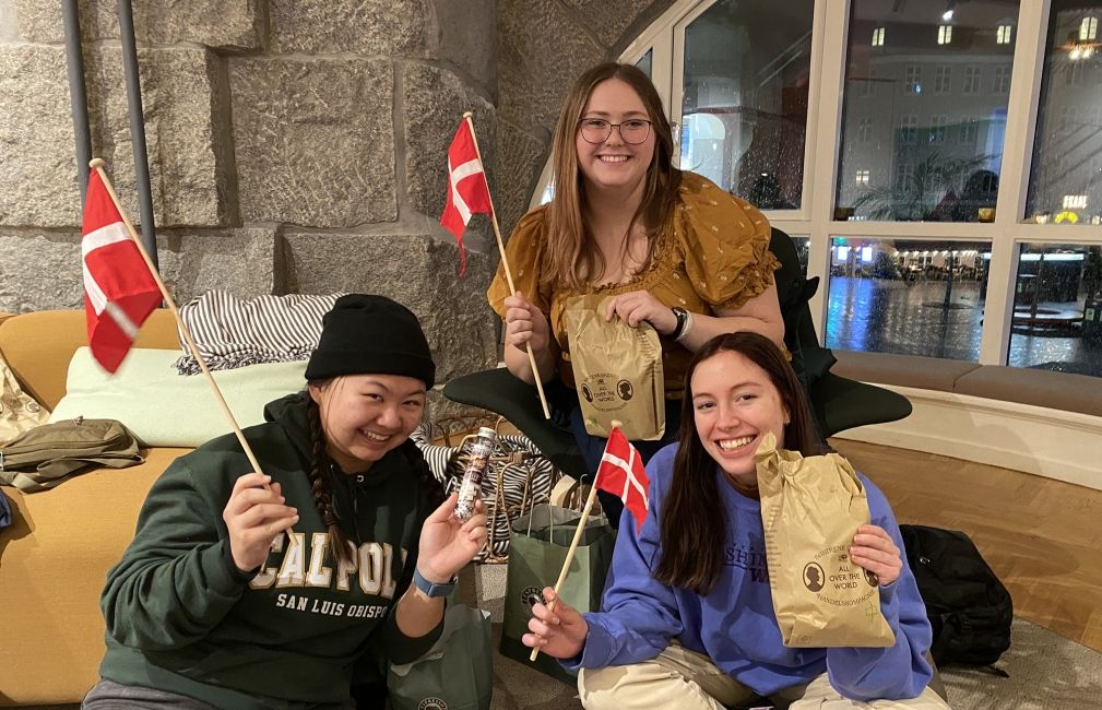 copenhagen students flags