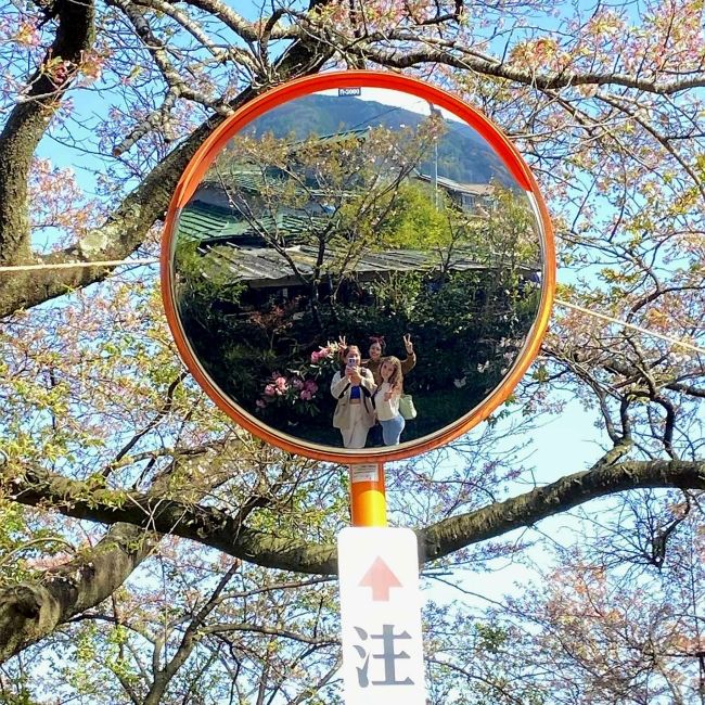 kyoto mirror reflection students abroad