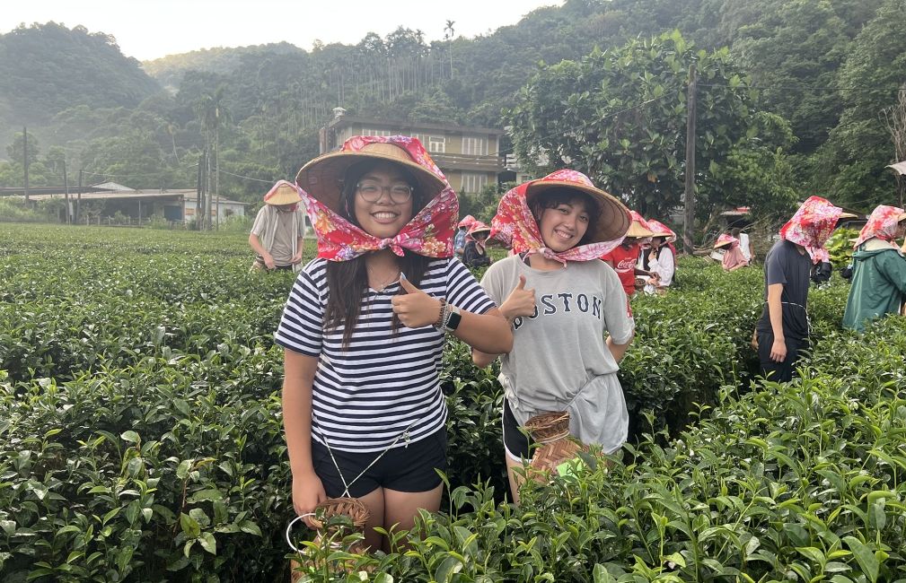 taiepei students farm