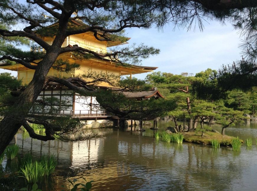 tokyo golden temply on pond