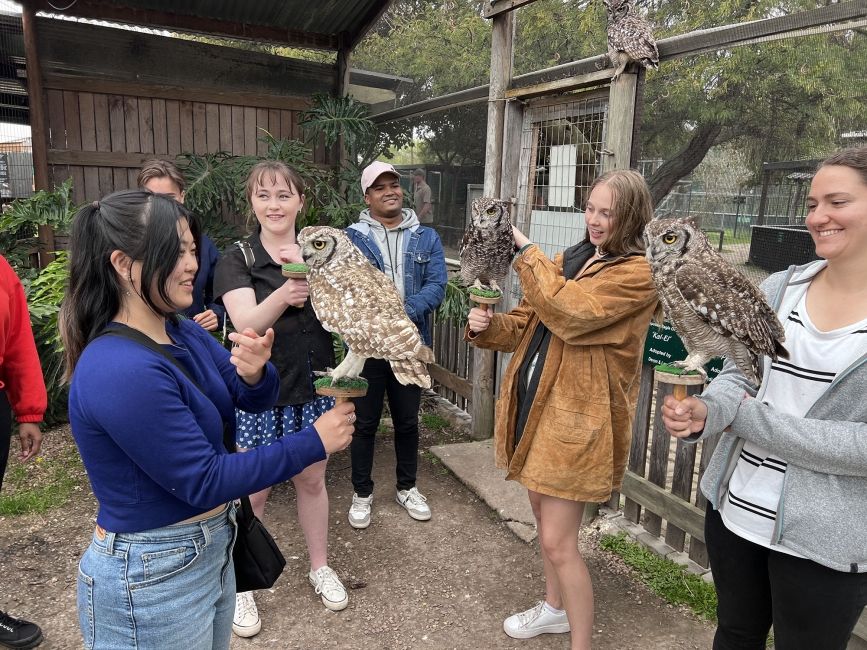 owls at Eagle Encounters_Cape Town_ South Africa.jpeg