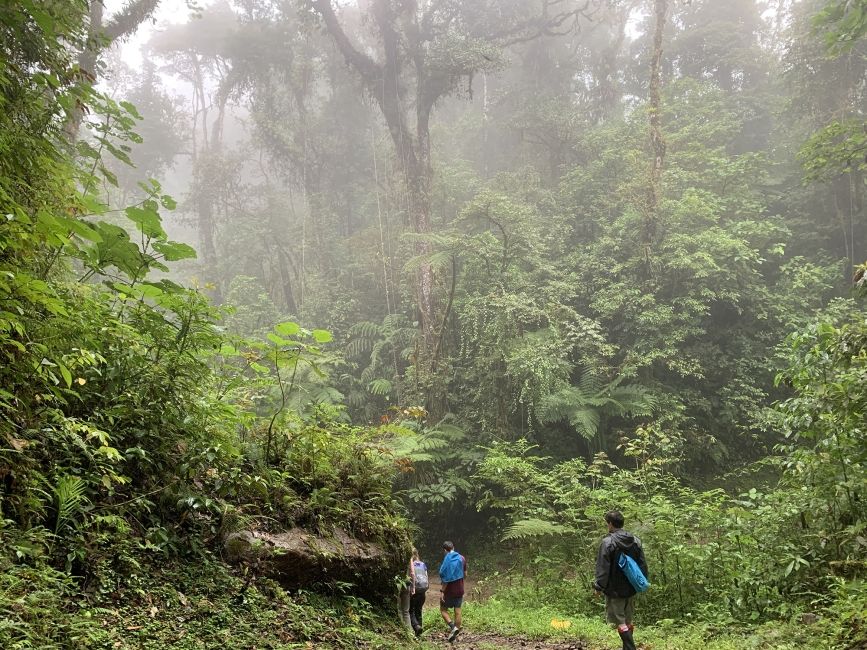 students walking on a trail in Monteverde.jpg