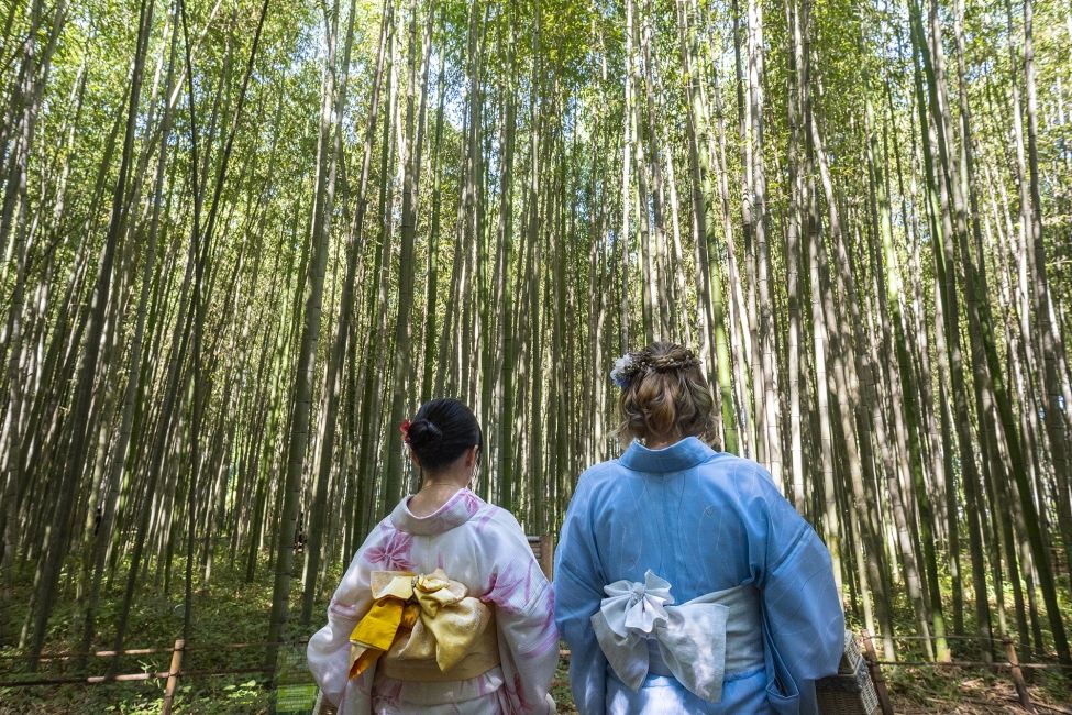 Women in forest
